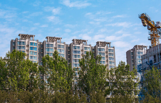 城市在建楼盘与绿树景观