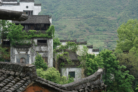 篁岭