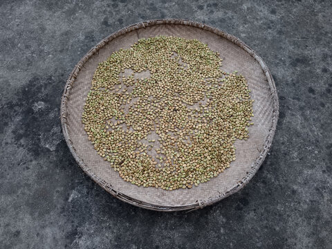 一簸箕蚕豆