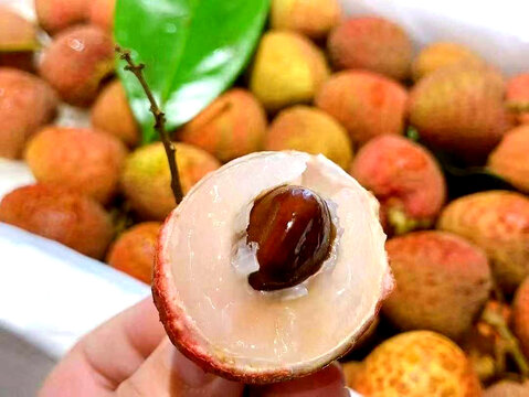 荔枝