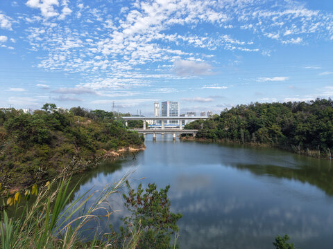 深圳牛牯斗水库湖畔风光与远处桥梁建筑