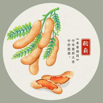 酸角插画手绘