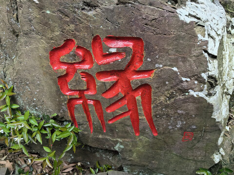 常州溧阳南山竹海