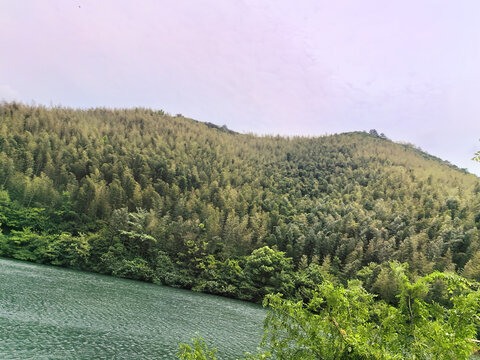 常州溧阳南山竹海