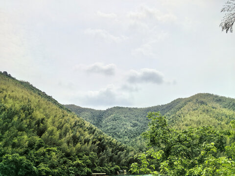 常州溧阳南山竹海