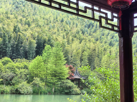常州溧阳南山竹海