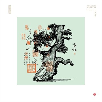 古树古柏劲松插图