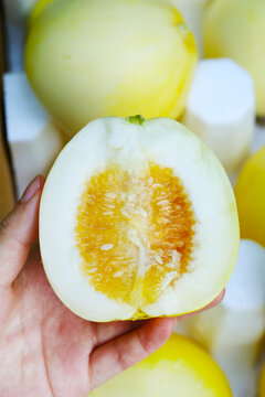 小蜜蜂甜瓜