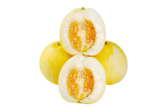 小蜜蜂甜瓜