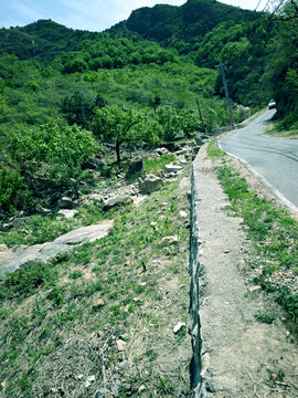 山间蜿蜒公路与葱郁植被