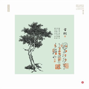 中式美学传统古松古柏古树线描图