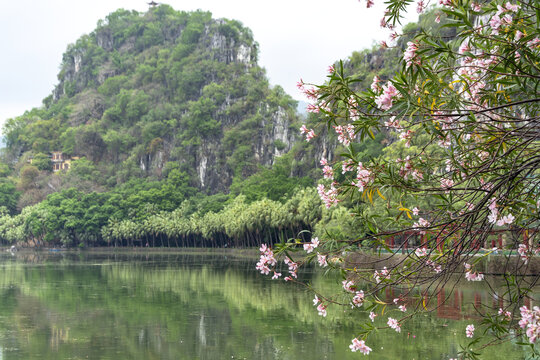 湖畔繁花与青山倒影风景