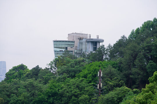 绿树掩映中的独特建筑