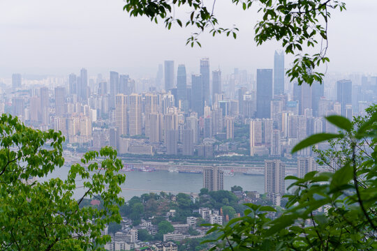 绿树掩映下的都市天际线