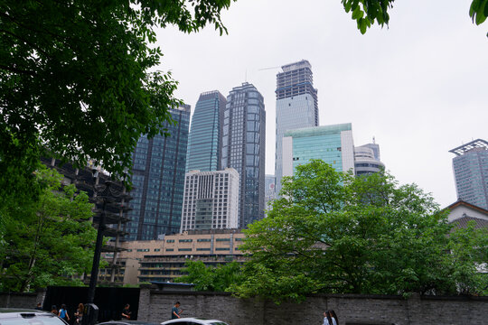 绿树掩映下的城市高楼