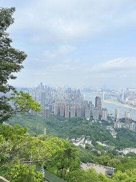 俯瞰绿树环绕的繁华都市