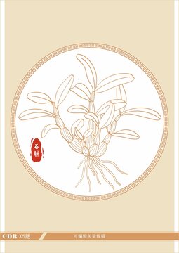 石斛素材