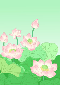 清新荷花国风国潮花茶包装插画