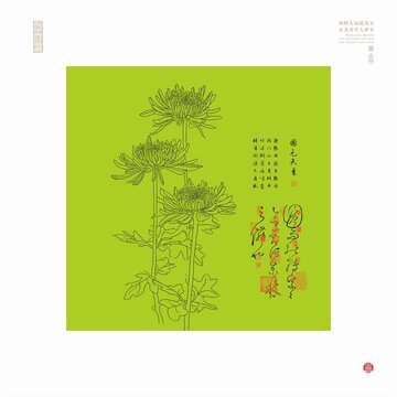 菊花线描图菊花矢量图