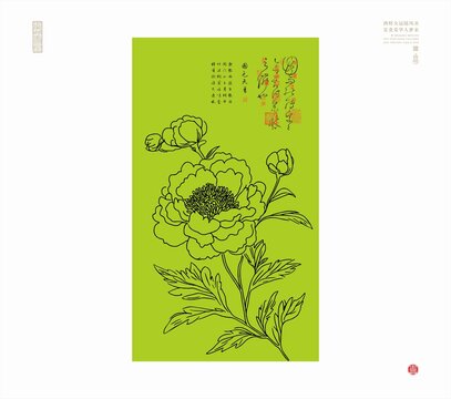 牡丹花线描图牡丹白描插图