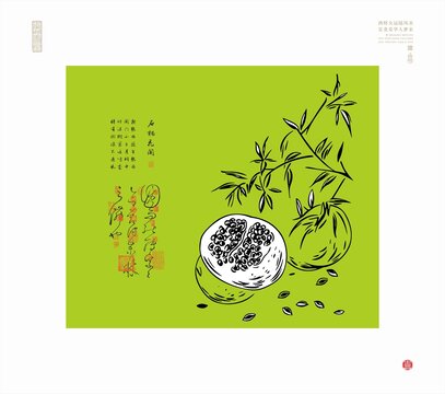 石榴矢量图石榴线描图