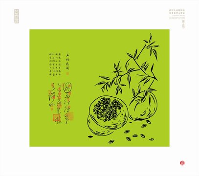 石榴线描图石榴插画