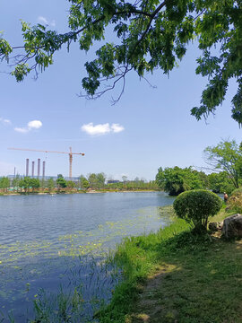 湖畔风光与远处建设景象