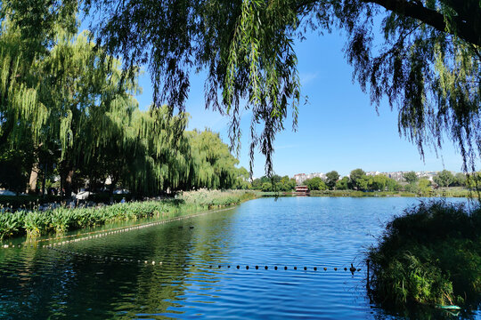 北京什刹海西海湿地公园