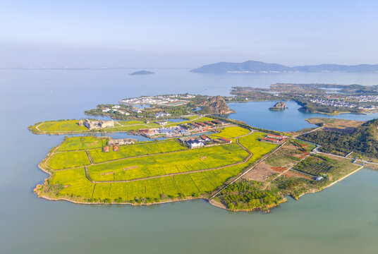 苏州西山岛油菜花
