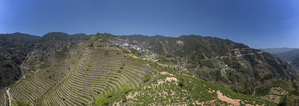 宽幅梯田茶园上的山村风光