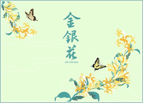金银花包装