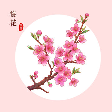 梅花
