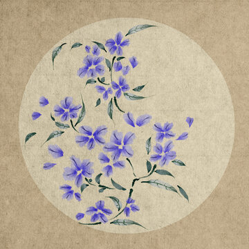 花卉系列蓝色小花