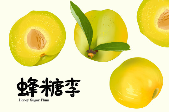 手绘美味蜂糖李子插画
