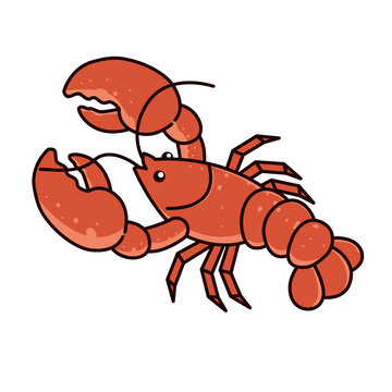 卡通小龙虾插画