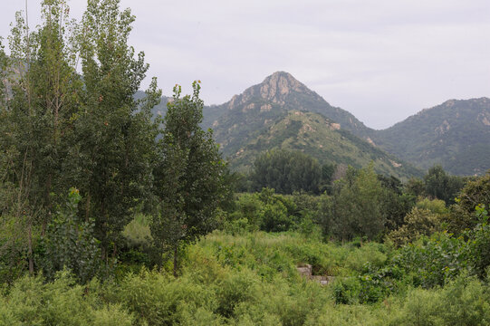 山峰