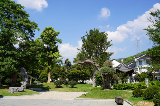 九江东林寺中式庭院绿树蓝天景致