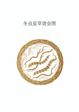 冬虫夏草烫金图