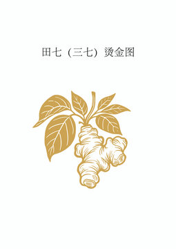 田七三七烫金图
