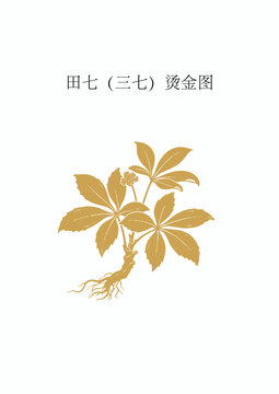 田七三七烫金图