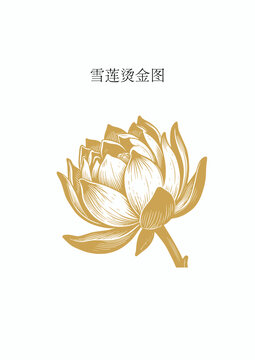 雪莲烫金图
