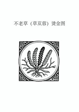 不老草草苁蓉烫金图