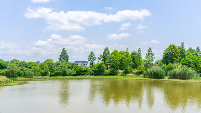 文化园月光湖