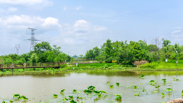 月光湖风景