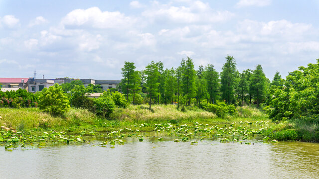 月光湖风景