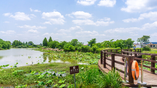 月光湖风采