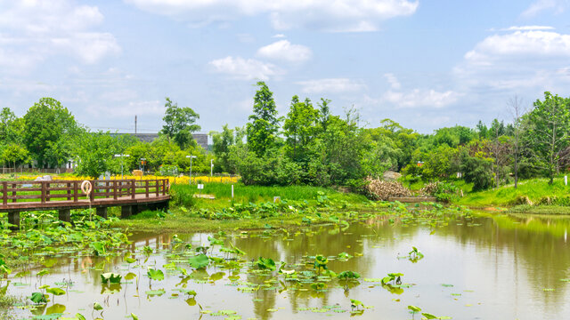 月光湖风景