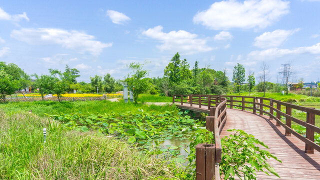 月光湖风景