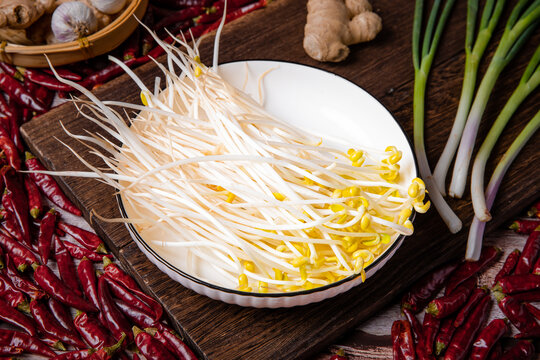 火锅菜品黄豆芽