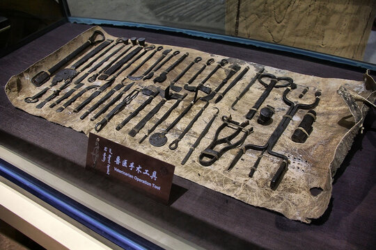 古代兽医手术工具展示